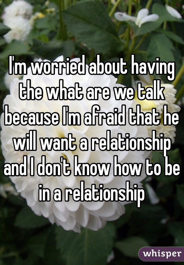 I'm worried about having the what are we talk because I'm afraid that he will want a relationship and I don't know how to be in a relationship