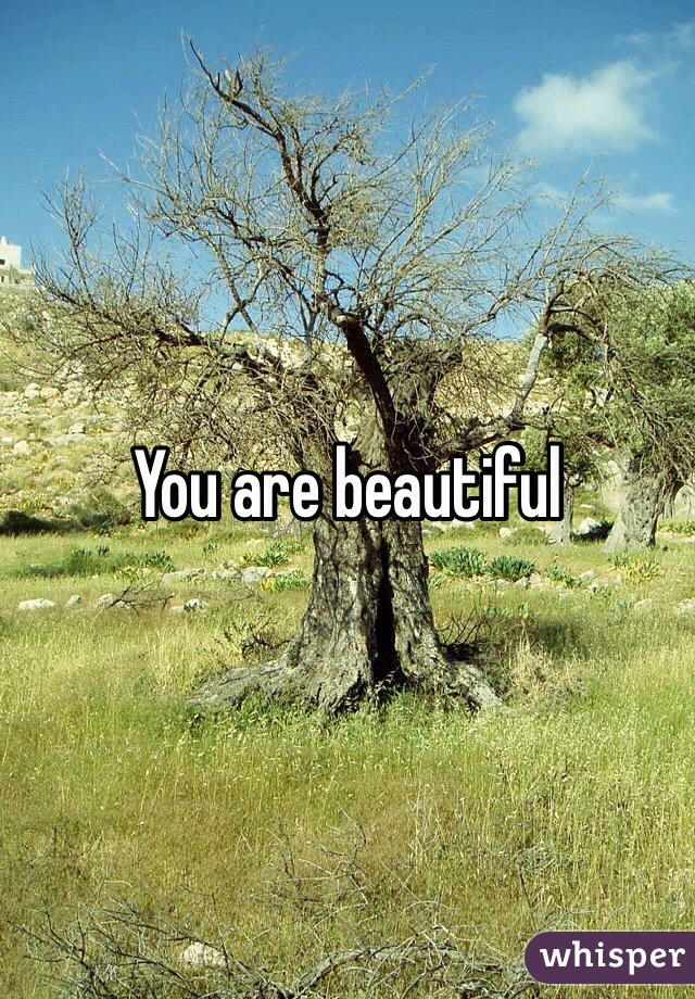 You are beautiful
