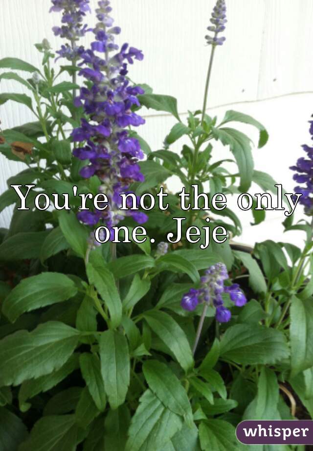 You're not the only one. Jeje