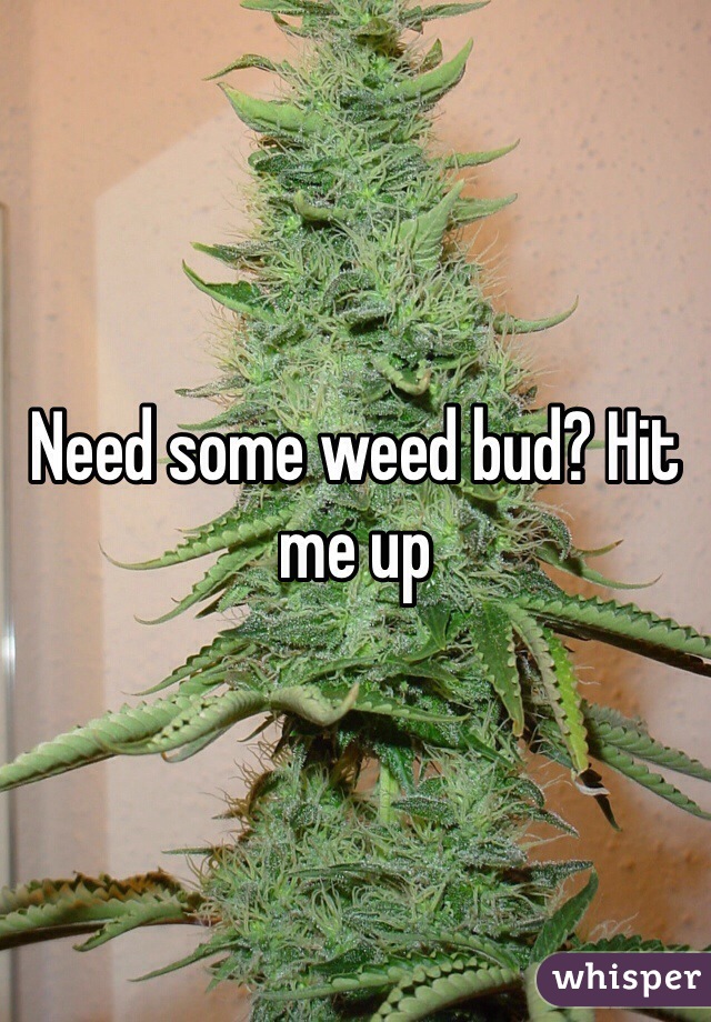 Need some weed bud? Hit me up 