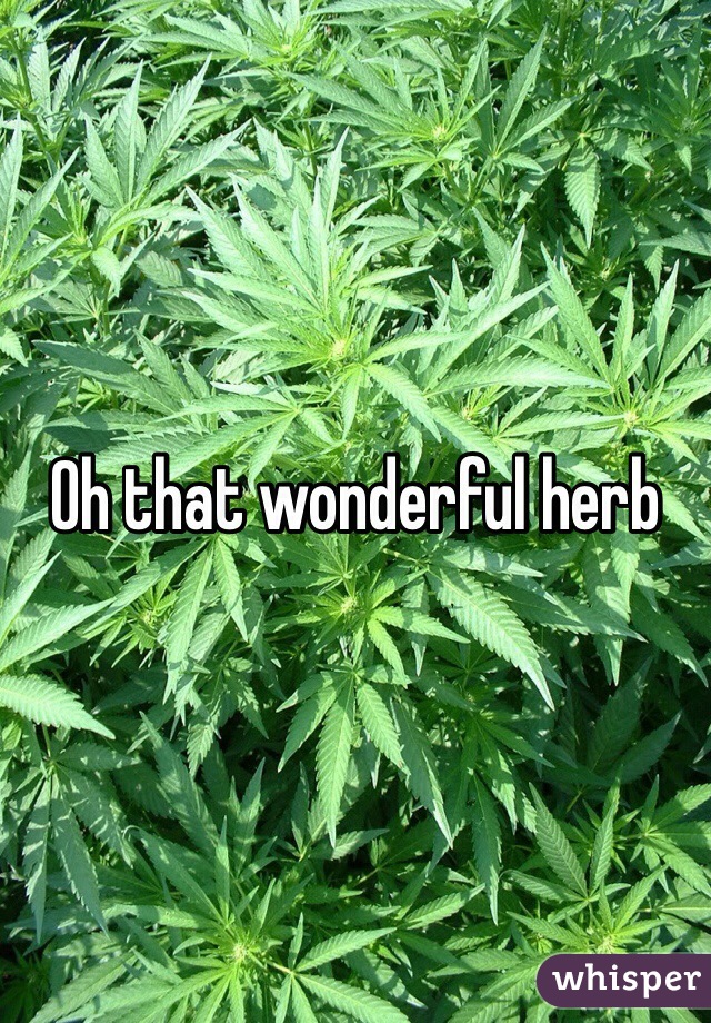 Oh that wonderful herb 