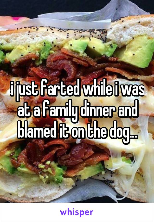 i just farted while i was at a family dinner and blamed it on the dog...