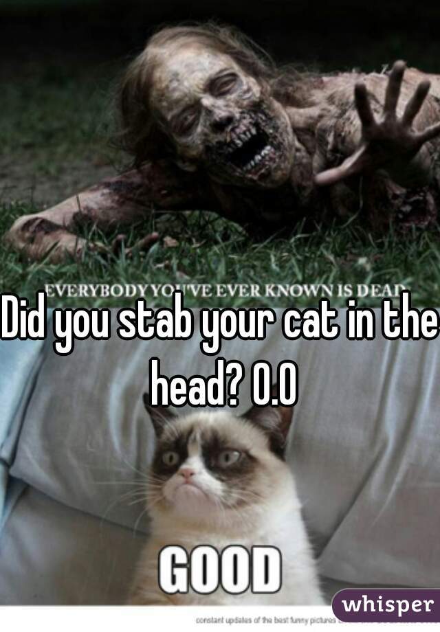 Did you stab your cat in the head? O.O