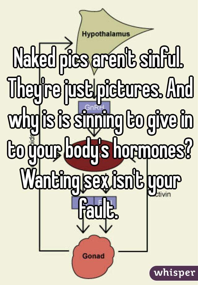 Naked pics aren't sinful. They're just pictures. And why is is sinning to give in to your body's hormones? Wanting sex isn't your fault. 