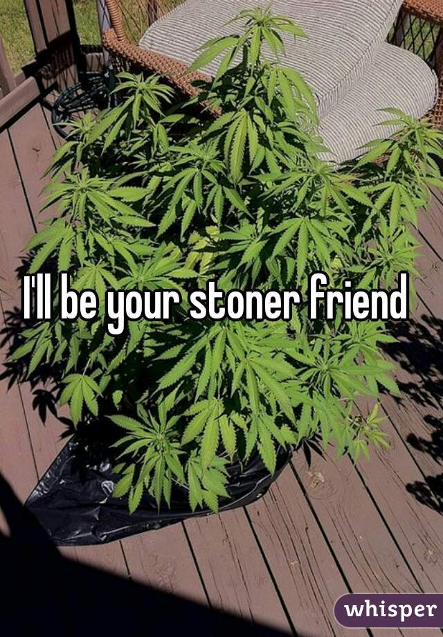 I'll be your stoner friend 