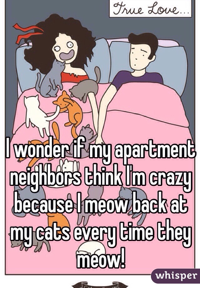 I wonder if my apartment neighbors think I'm crazy because I meow back at my cats every time they meow!