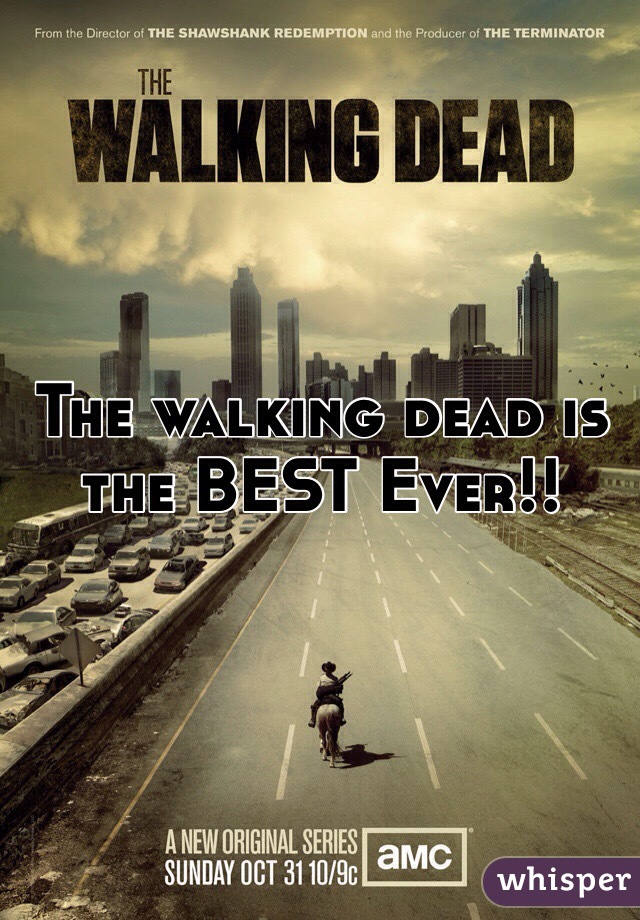 The walking dead is the BEST Ever!! 