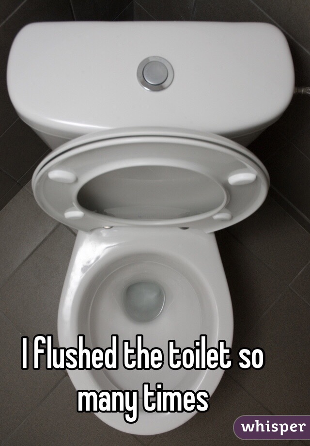 I flushed the toilet so many times