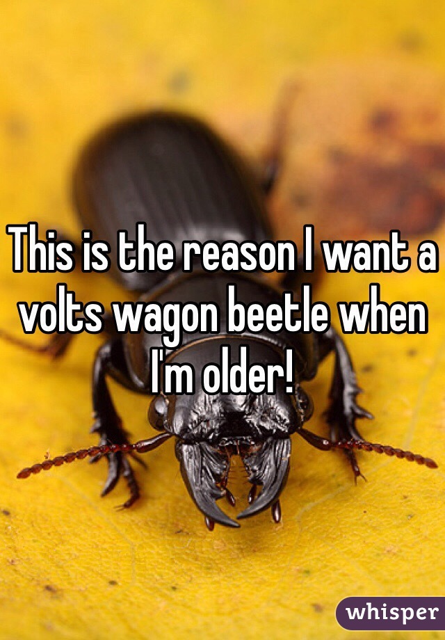 This is the reason I want a volts wagon beetle when I'm older!
