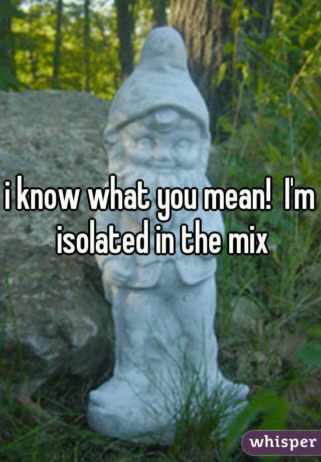 i know what you mean!  I'm isolated in the mix