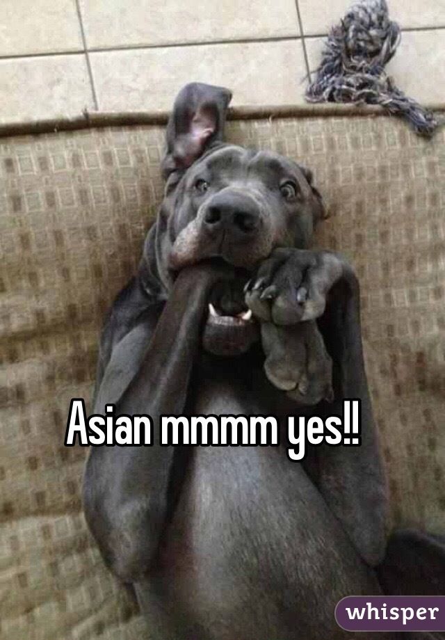 Asian mmmm yes!!