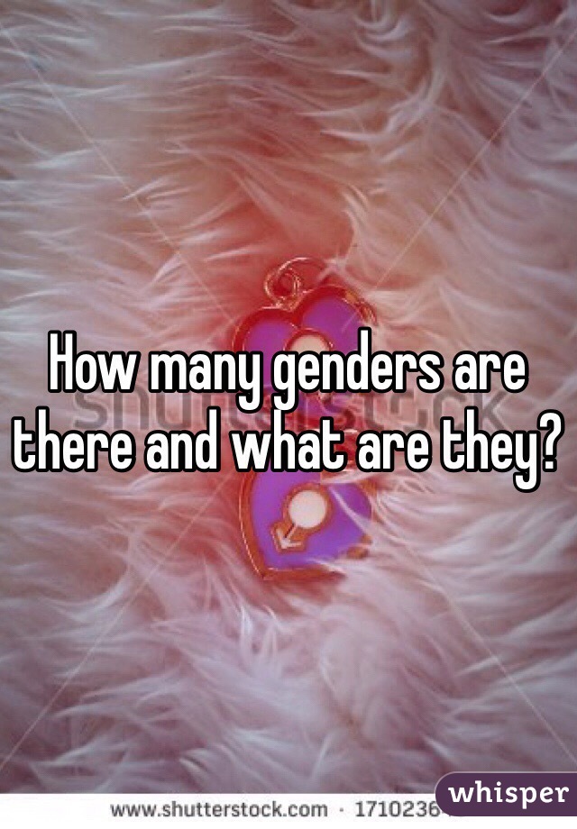 How many genders are there and what are they? 