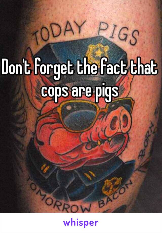 Don't forget the fact that cops are pigs 