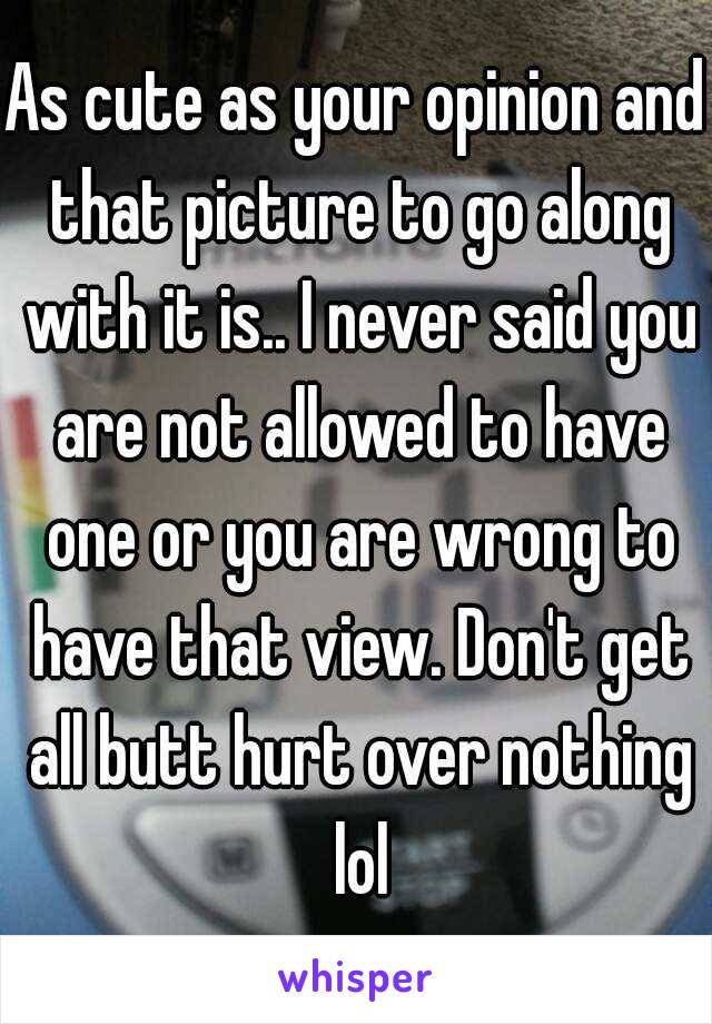 As cute as your opinion and that picture to go along with it is.. I never said you are not allowed to have one or you are wrong to have that view. Don't get all butt hurt over nothing lol