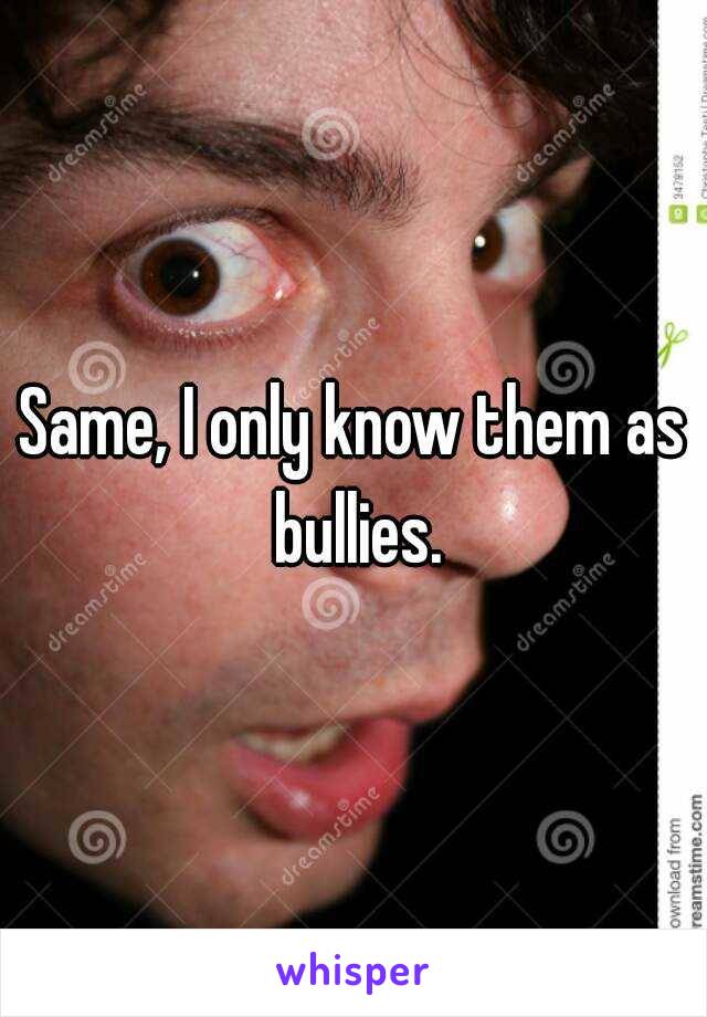 Same, I only know them as bullies.