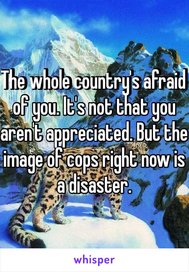 The whole country's afraid of you. It's not that you aren't appreciated. But the image of cops right now is a disaster.