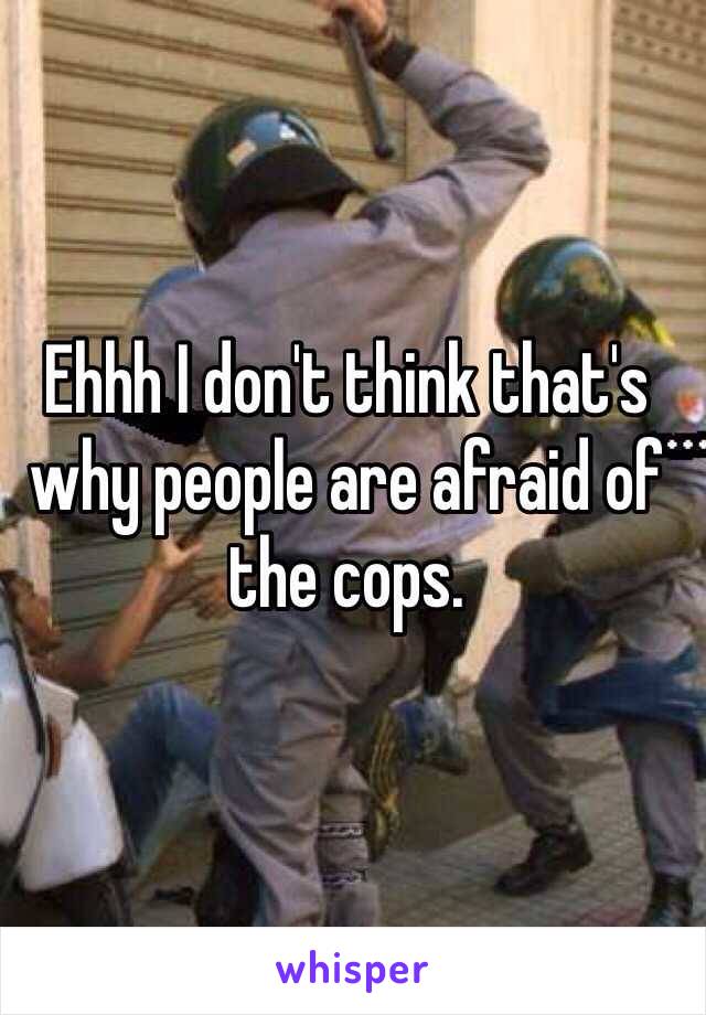 Ehhh I don't think that's why people are afraid of the cops. 