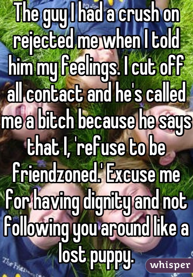 The guy I had a crush on rejected me when I told him my feelings. I cut off all contact and he's called me a bitch because he says that I, 'refuse to be friendzoned.' Excuse me for having dignity and not following you around like a lost puppy.