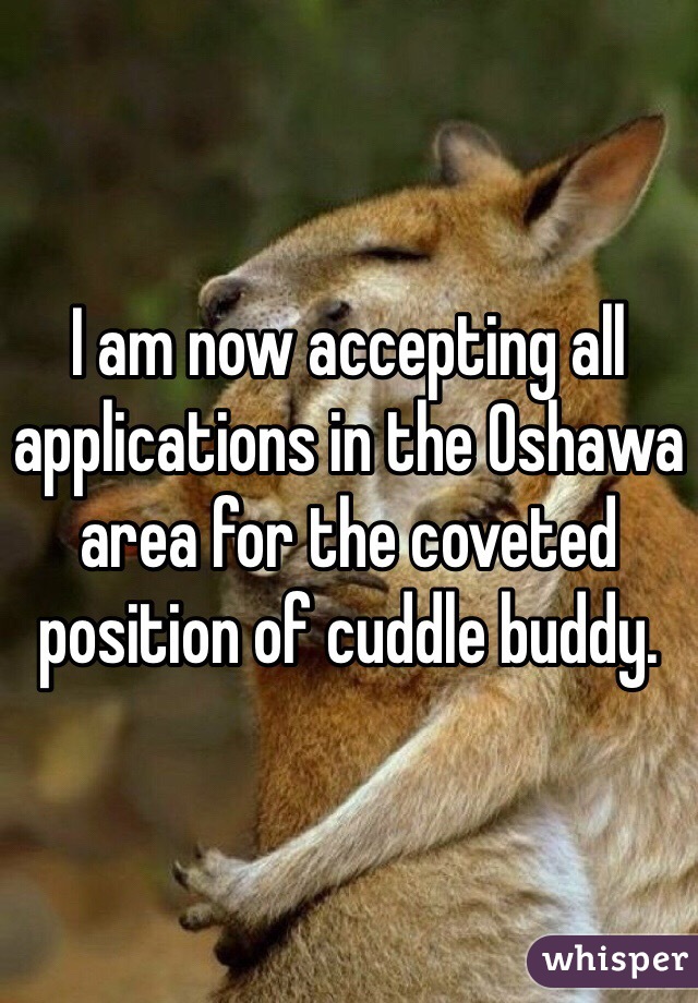 I am now accepting all applications in the Oshawa area for the coveted position of cuddle buddy.