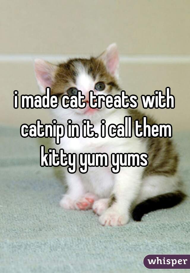 i made cat treats with catnip in it. i call them kitty yum yums 