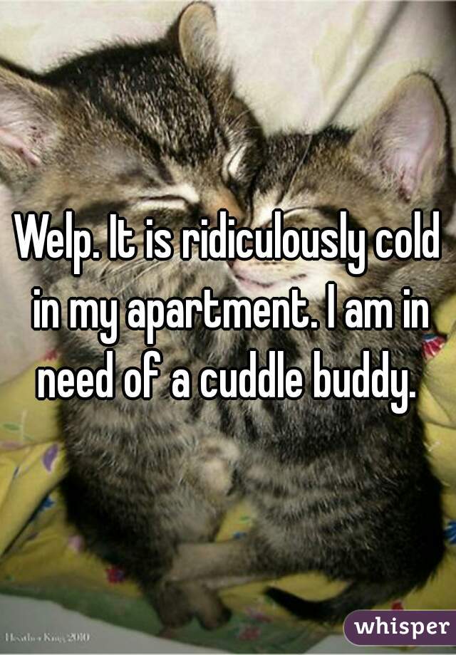Welp. It is ridiculously cold in my apartment. I am in need of a cuddle buddy. 