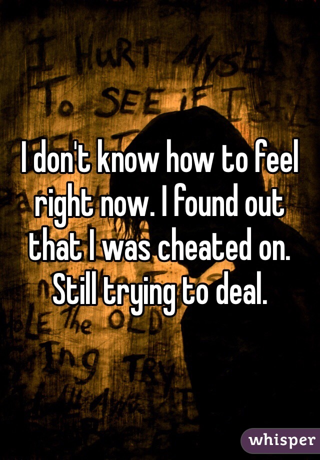 I don't know how to feel right now. I found out that I was cheated on. Still trying to deal.