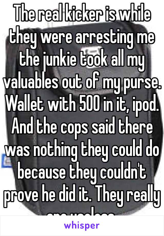 The real kicker is while they were arresting me the junkie took all my valuables out of my purse. Wallet with 500 in it, ipod. And the cops said there was nothing they could do because they couldn't prove he did it. They really are useless.