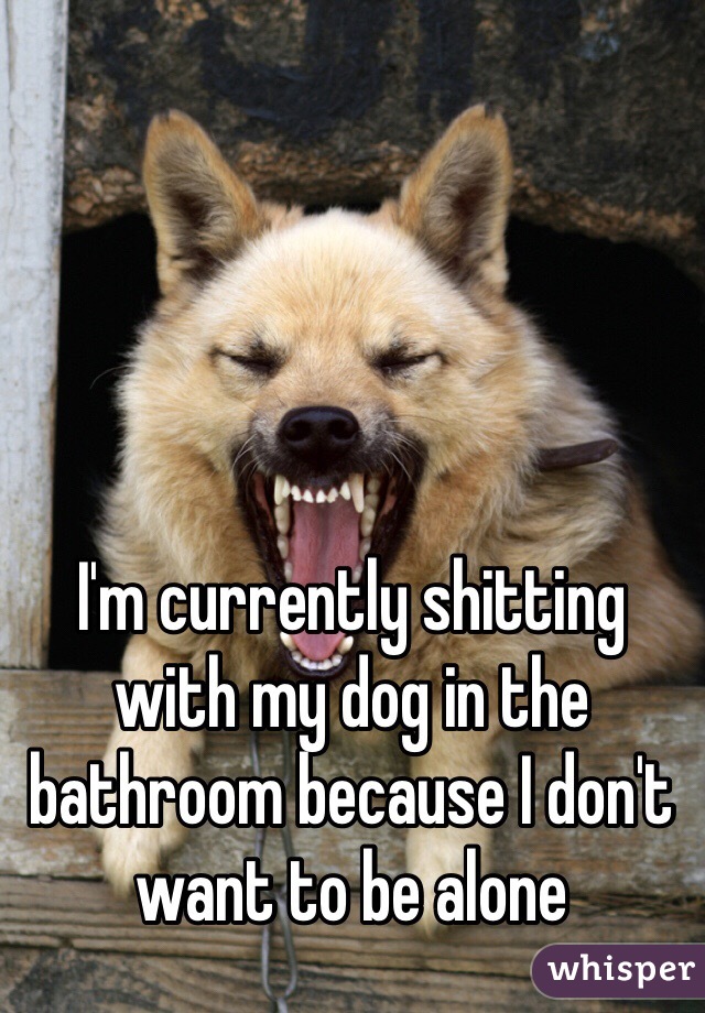 I'm currently shitting with my dog in the bathroom because I don't want to be alone