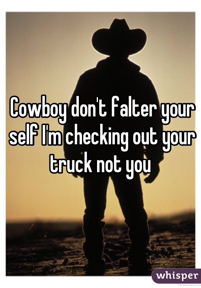 Cowboy don't falter your self I'm checking out your truck not you 