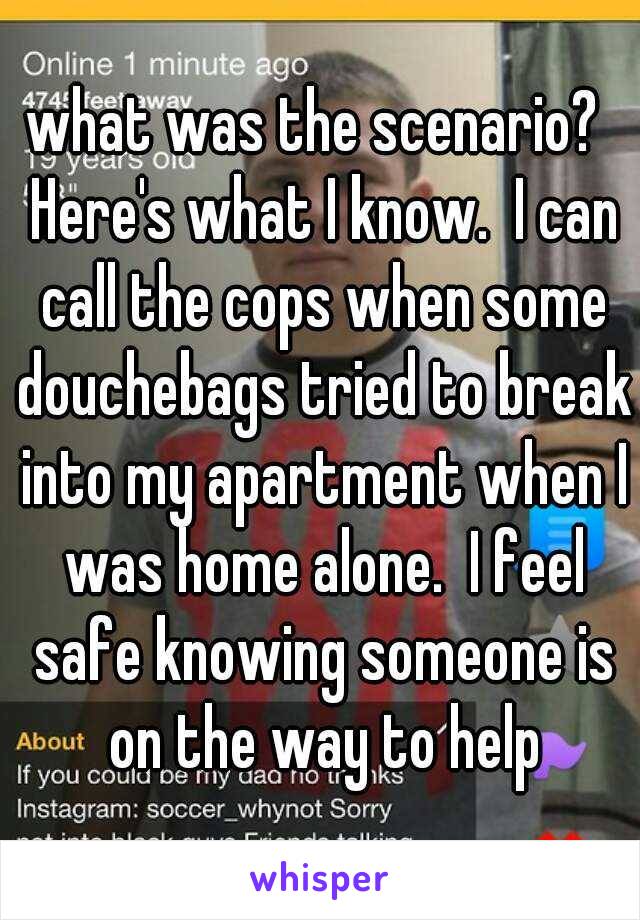 what was the scenario?  Here's what I know.  I can call the cops when some douchebags tried to break into my apartment when I was home alone.  I feel safe knowing someone is on the way to help