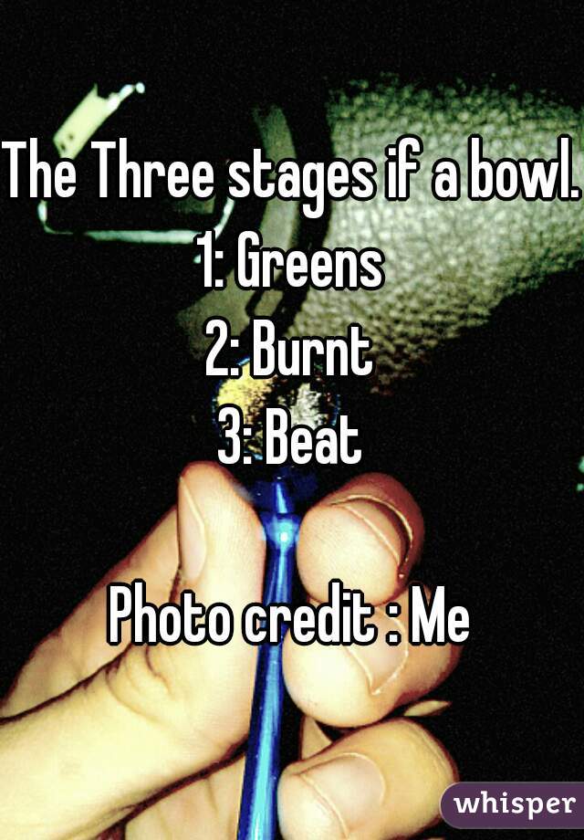 The Three stages if a bowl.
1: Greens
2: Burnt
3: Beat

Photo credit : Me