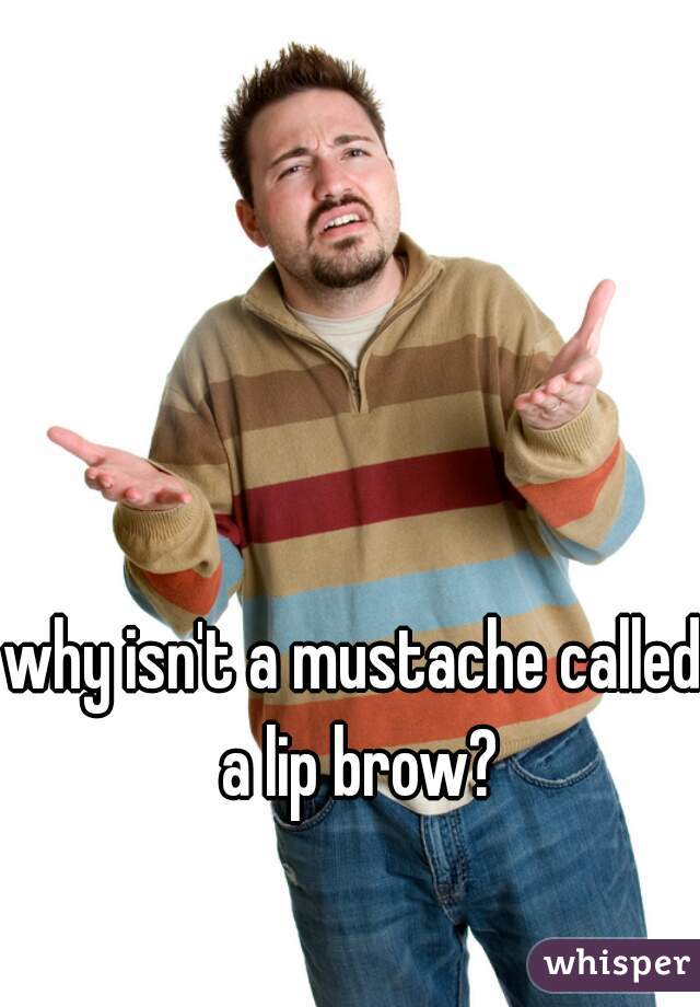why isn't a mustache called a lip brow?
