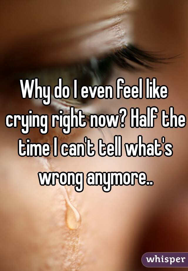 Why do I even feel like crying right now? Half the time I can't tell what's wrong anymore..
