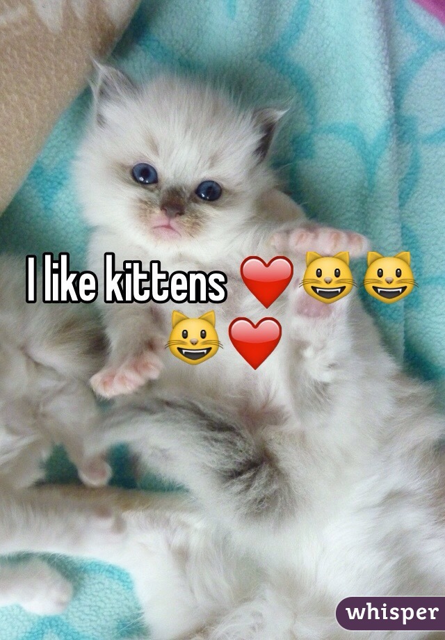 I like kittens ❤️😺😺😺❤️
