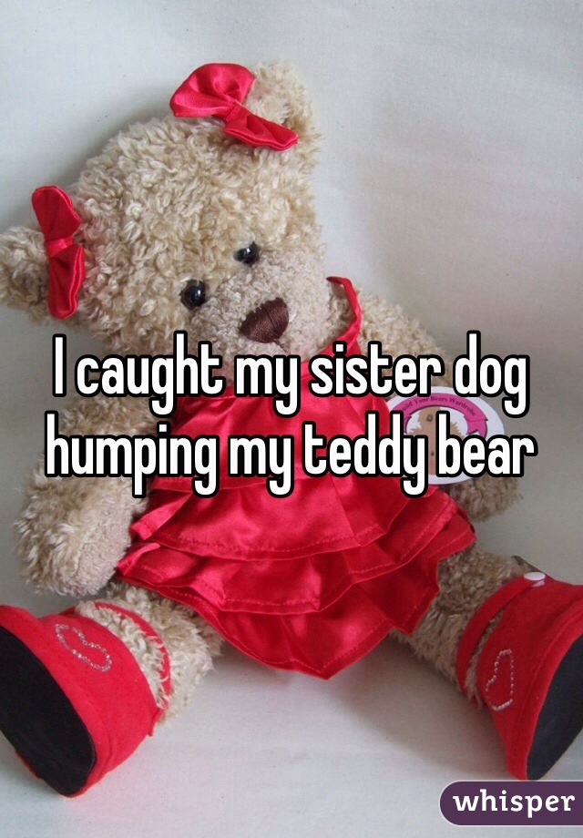 I caught my sister dog humping my teddy bear  