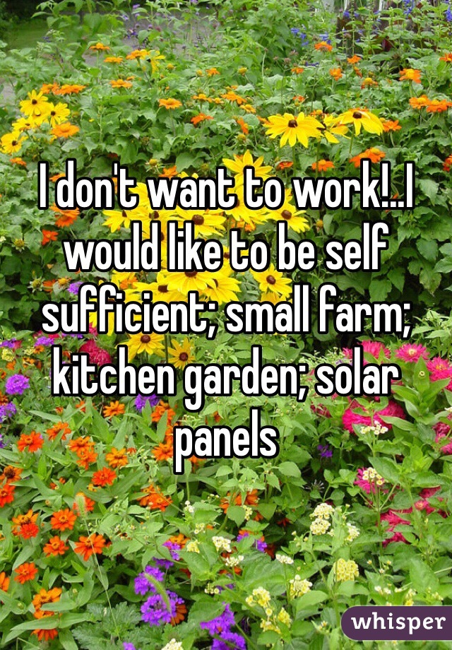 I don't want to work!..I would like to be self sufficient; small farm; kitchen garden; solar panels