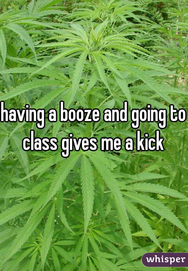 having a booze and going to class gives me a kick 