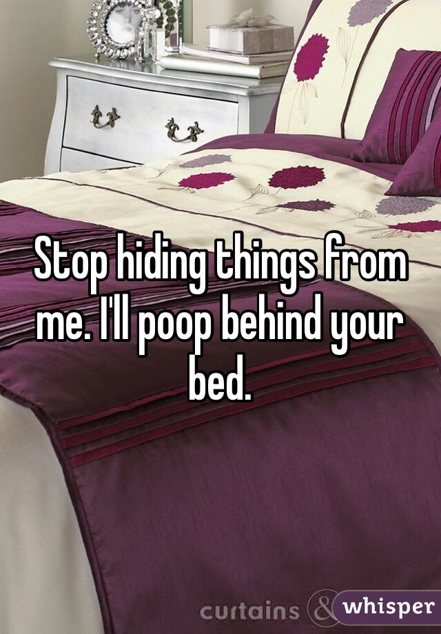 Stop hiding things from me. I'll poop behind your bed.