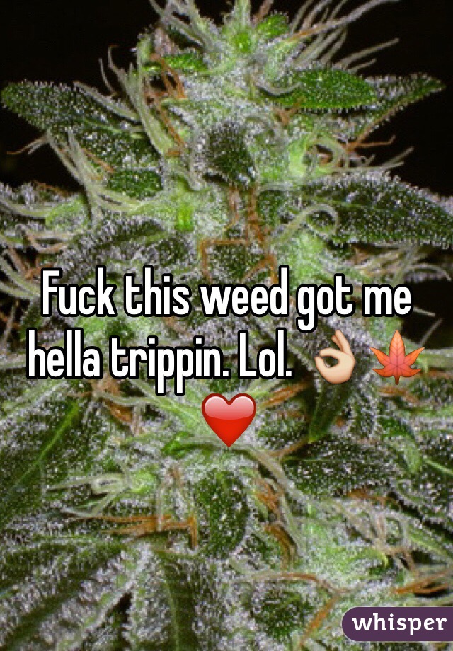 Fuck this weed got me hella trippin. Lol. 👌🍁❤️