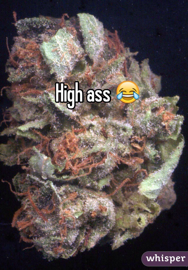 High ass 😂 