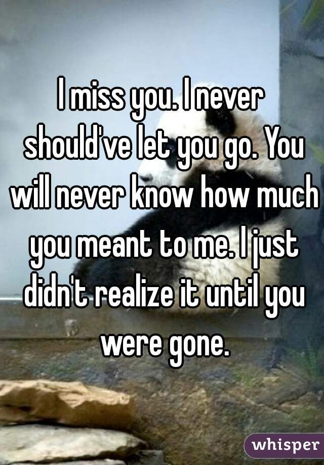 I miss you. I never should've let you go. You will never know how much you meant to me. I just didn't realize it until you were gone.