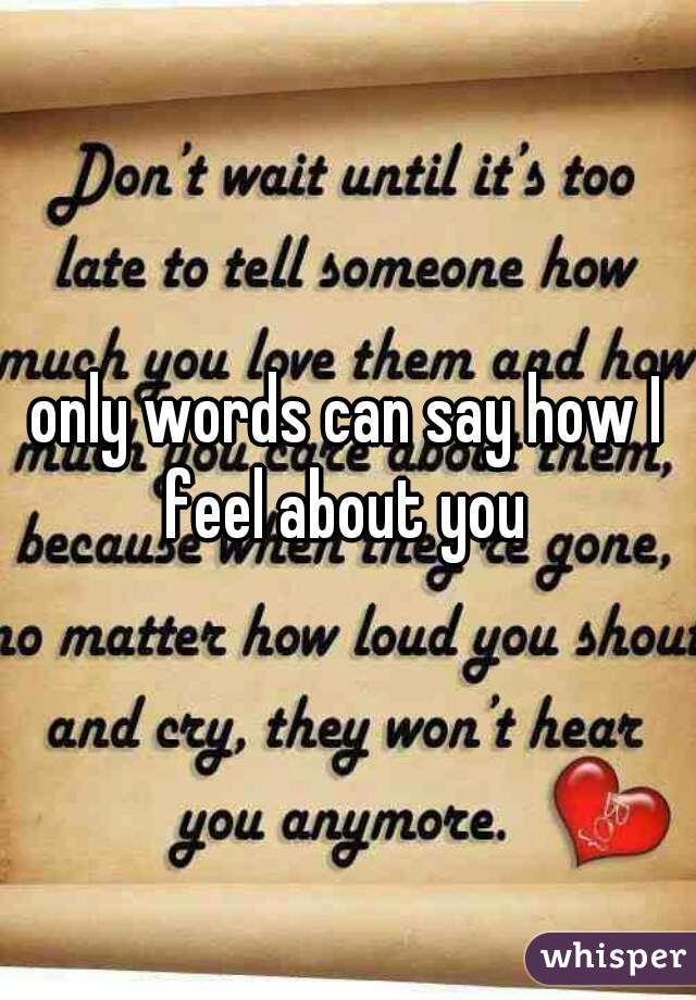 only words can say how I feel about you 
