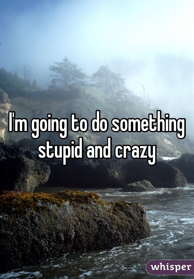 I'm going to do something stupid and crazy
