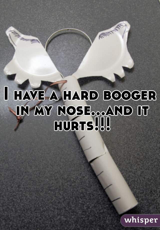 I have a hard booger in my nose...and it hurts!!!