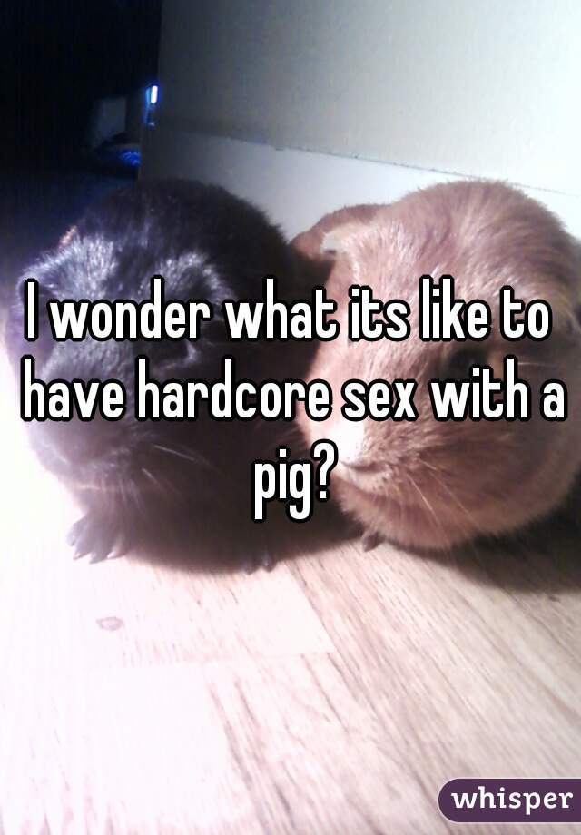 I wonder what its like to have hardcore sex with a pig?