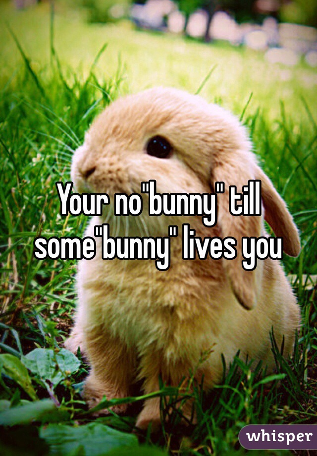Your no"bunny" till some"bunny" lives you
