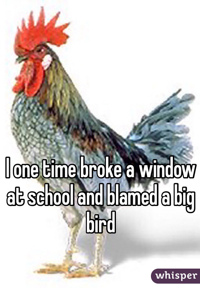 I one time broke a window at school and blamed a big bird