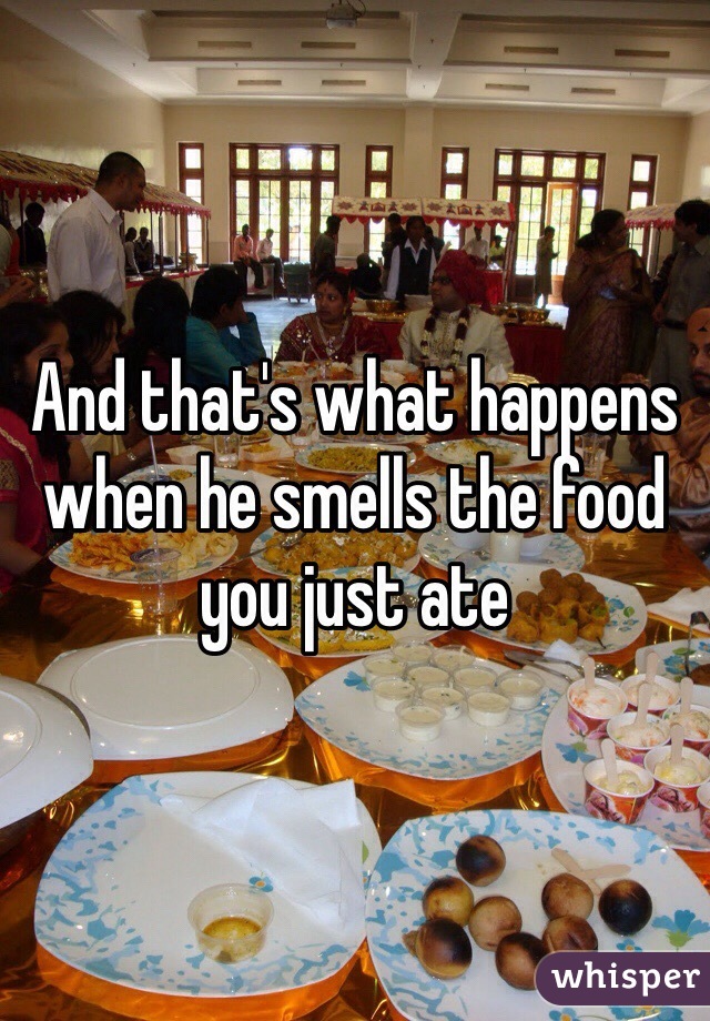 And that's what happens when he smells the food you just ate