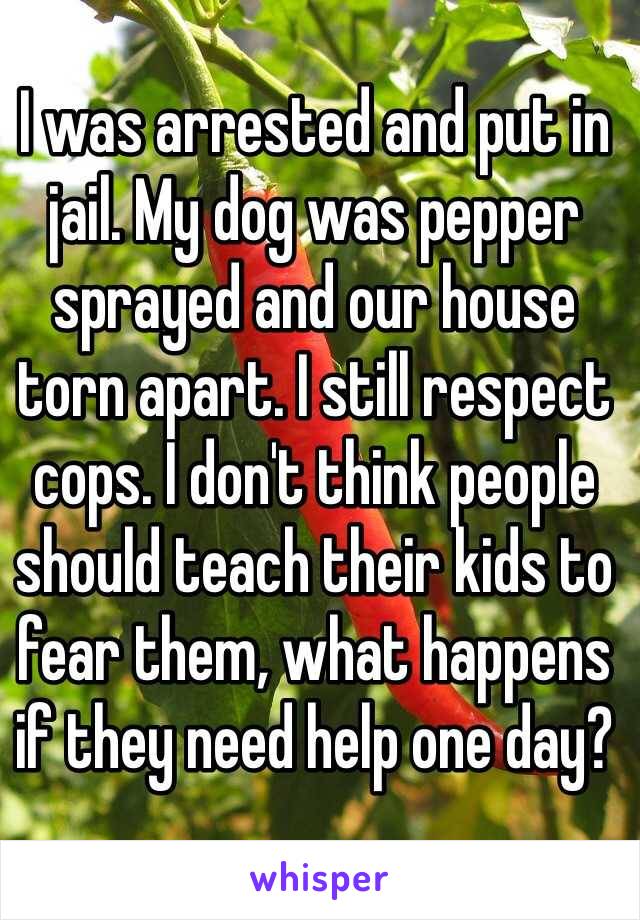 I was arrested and put in jail. My dog was pepper sprayed and our house torn apart. I still respect cops. I don't think people should teach their kids to fear them, what happens if they need help one day? 