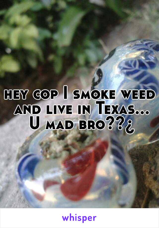 hey cop I smoke weed and live in Texas... U mad bro??¿